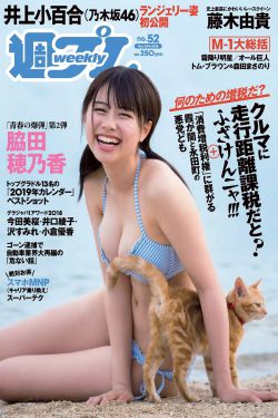 重生成猎豹